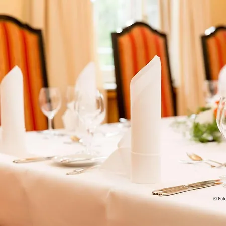 Dorint Herrenkrug Parkhotel 4*