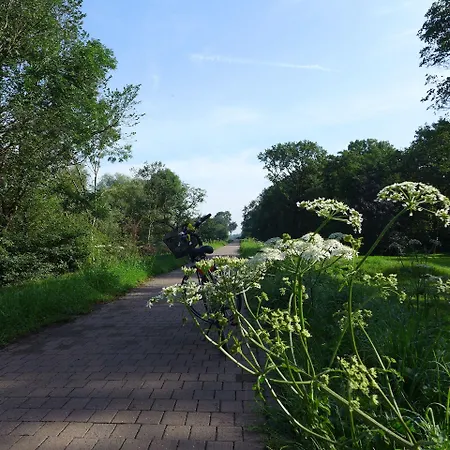 Hotel Dorint Herrenkrug Parkhotel 4*