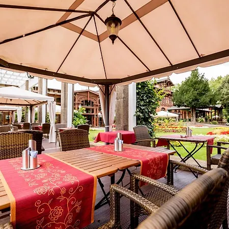 فندق Dorint Herrenkrug Parkhotel ماغديبورغ