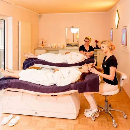 فندق Dorint Herrenkrug Parkhotel 4*