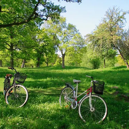 Hotel Dorint Herrenkrug Parkhotel Magdeburgo
