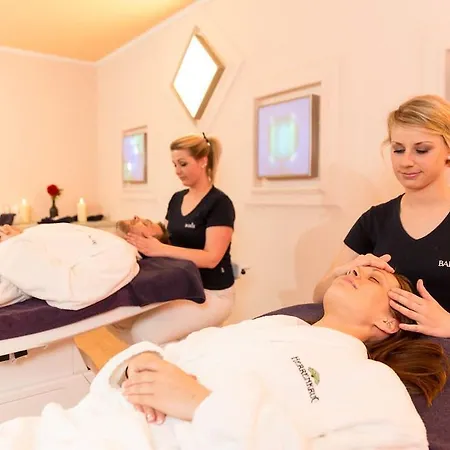 فندق Dorint Herrenkrug Parkhotel ماغديبورغ