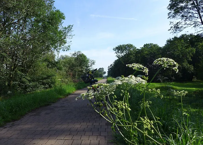 Hotel Dorint Herrenkrug Parkhotel 4*