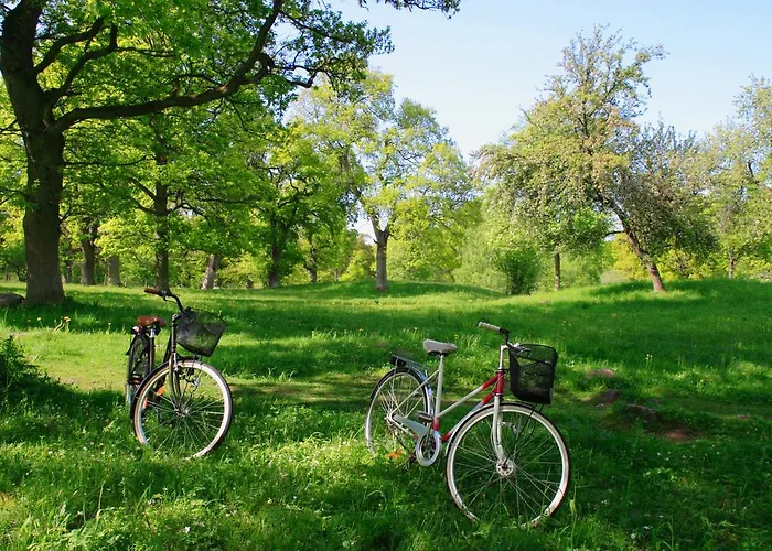 Szálloda Dorint Herrenkrug Parkhotel Magdeburg